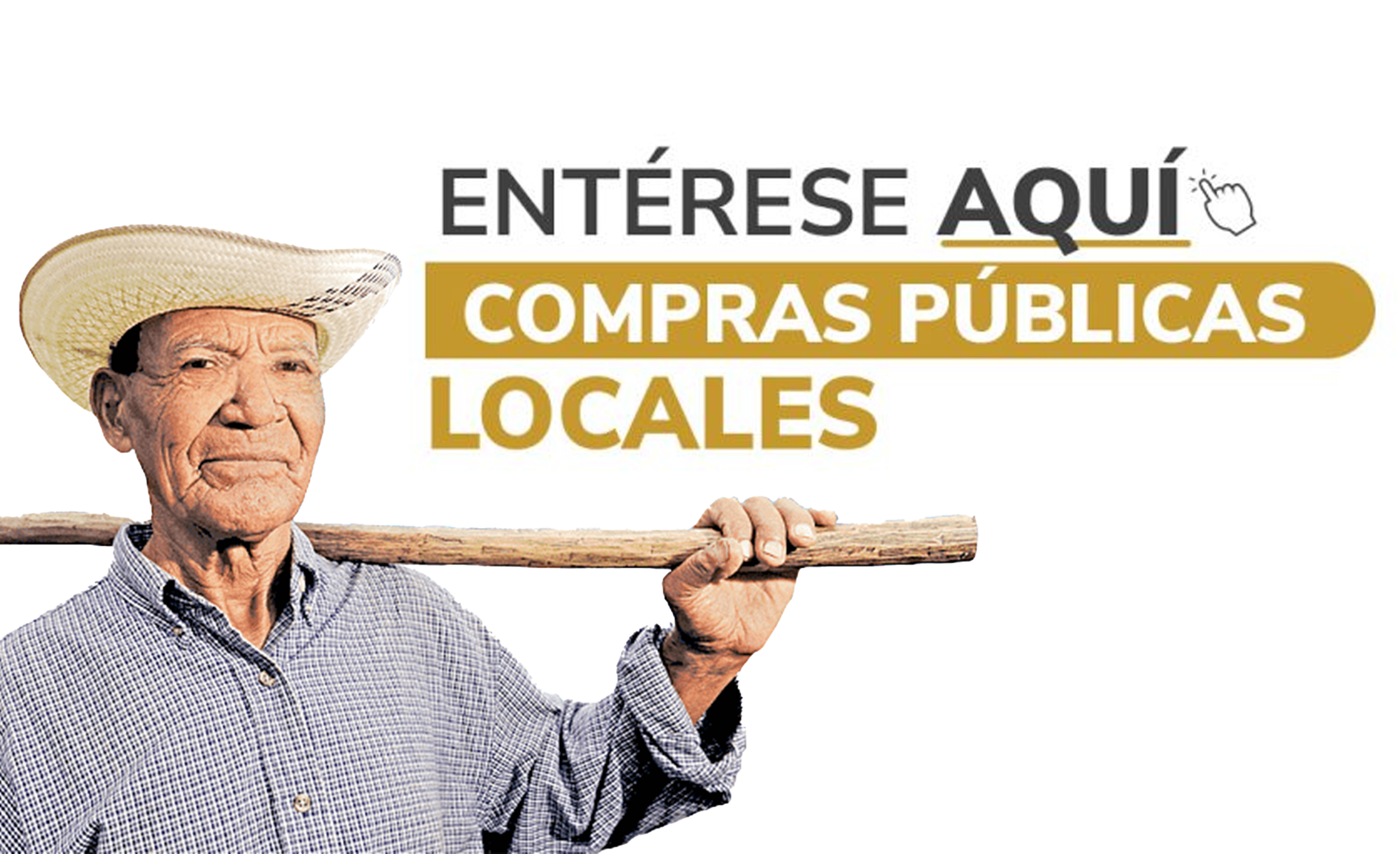 Compras Públicas